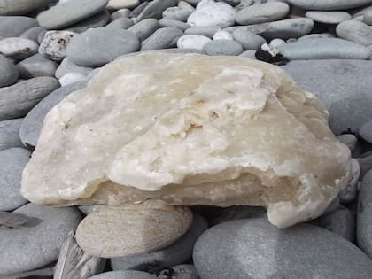 El ámbar gris, más conocido como "vómito de ballena"