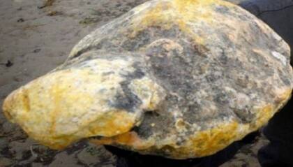 El ámbar gris tras solidificarse