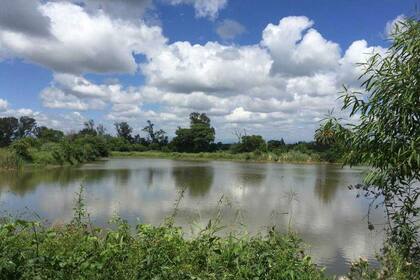 El ambiente es ideal para el cultivo