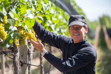 EL americano Paul Hobbs reparte su vida por el mundo del vino y en Argentina lo hace desde Viña Cobos