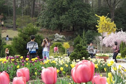 El análisis de IA advierte que la protección es relativa: ninguna ciudad puede frenar decisiones migratorias federales