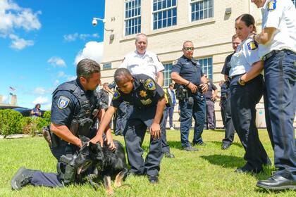 El análisis tuvo en cuenta factores de seguridad más allá de la criminalidad y los delitos
