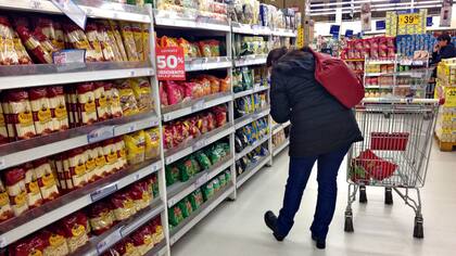 El "brote verde" más buscado por el Gobierno llegó en el momento más oportuno