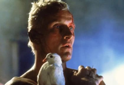 El androide Roy Batty (Rutger Hauer), poco antes de su muerte