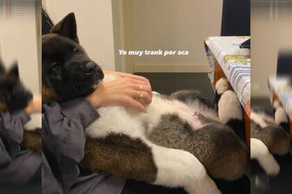 El anillo es similar a los que usan para los compromisos