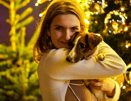 El animal debe ser cuidado en un entorno el que se sienta cómodo y protegido (imagen ilustrativa)