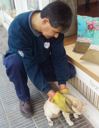 El animal fue retirado del local