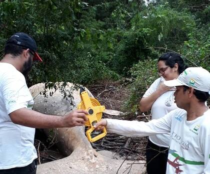 El animal no pudo ser removido de la zona donde fue hallado, debido a la intensa flora