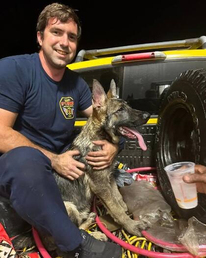 El animal se encontraba en buenas condiciones de salud cuando fue liberado