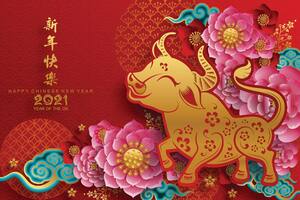 Horóscopo chino semanal: ¿qué te depara del 17 al 23 de febrero?