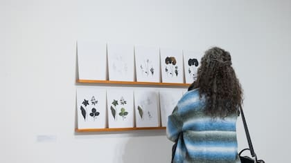 El año pasado el Premio Trabucco fue asignado a la disciplina de Escultura.