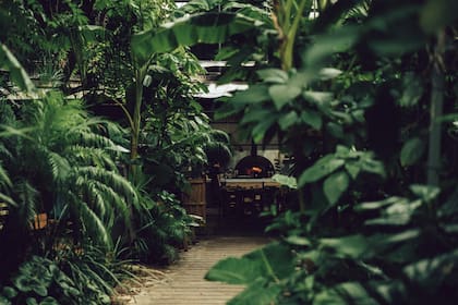 El año pasado, la Guía Michelin Argentina describió al restaurante de Villa Crespo como un oasis en medio de la ciudad y lo galardonó con una recomendación.