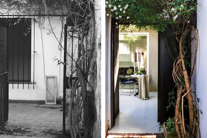 El añoso jazmín (única planta que se conservó) forma una pérgola que perfuma la llegada. Como la seguridad queda a cargo del nuevo portón, se pudieron hacer grandes ventanales al patio.