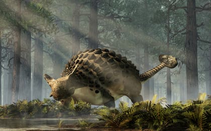 El anquilosaurio fue un herbívoro ornitisquio de la era Cretácica