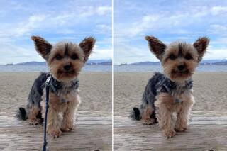 Windows 10 y 11 tendrán una función que hasta ahora era exclusiva de Google y Samsung