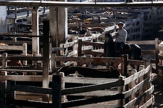 Tradiciones, costumbres y curiosidades de los antiguos mataderos de la ciudad