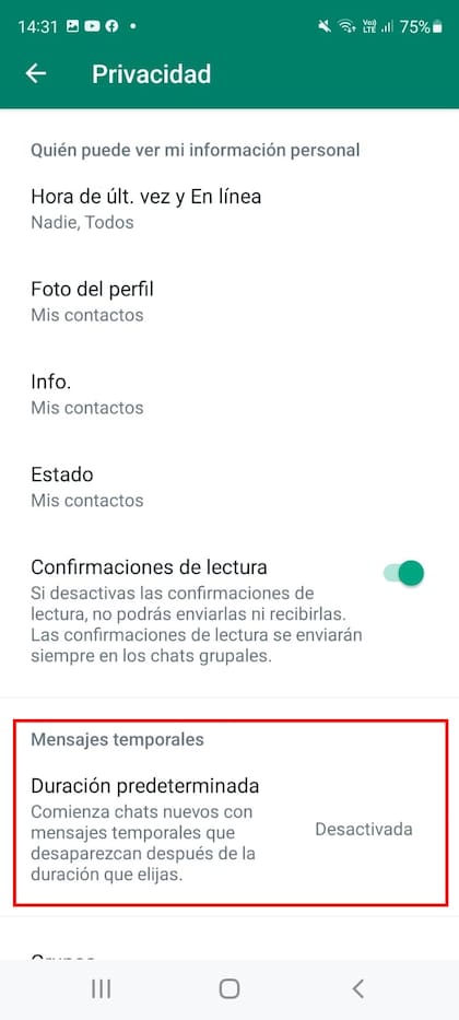 El apartado para seleccionar los mensajes temporales está dentro del ítem "Privacidad"