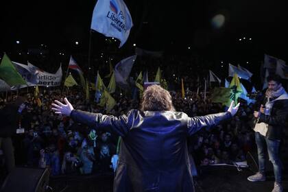 El apoyo a Milei fue masivo entre los electores jóvenes varones