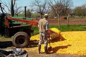 El aprovechamiento de subproductos de la agroindustria para obtener compuestos de alto valor agregado (compuestos bioactivos y aditivos) y utilizarlos en la formulación de alimentos y raciones contribuirá al uso más eficiente de los recursos y a la reducción de la contaminación ambiental