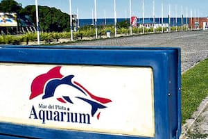 El Aquarium se sumará nuevamente a los espectáculos que Mar del Plata ofrece todos los años