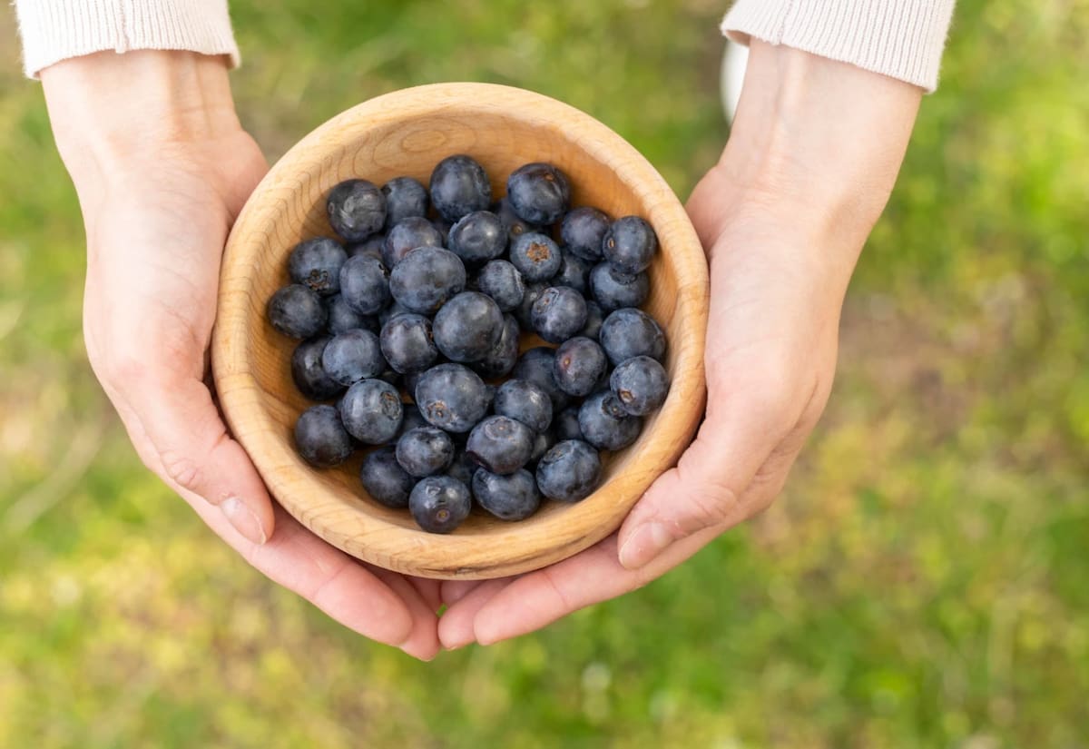 ¡Arándanos al Rescate de tu Salud! El Superalimento que los Expertos Argentinos Recomiendan