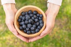 El arándano ha sido considerada por muchos especialistas como la más saludable del mundo