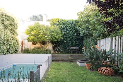 El árbol Acer palmatum es el punto focal del jardín de sombra elevado.