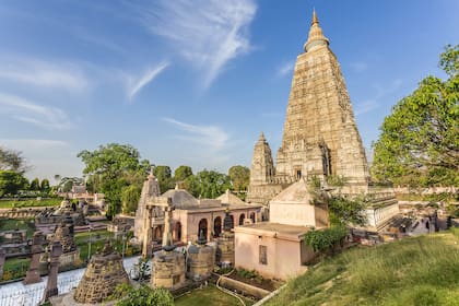El árbol crece junto al Templo Mahabodhi, declarado Patrimonio de la Humanidad