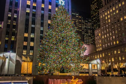 El árbol de Navidad del Rockefeller Center de 2024 tiene 22 metros de altura y pesa aproximadamente 11 toneladas