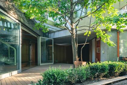 El árbol del jardín se ve desde el primer piso y aporta verde a los cuartos en planta alta