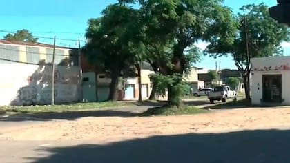 El árbol donde ocurrió el incidente.