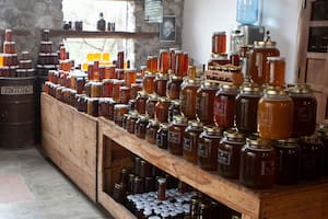 El Árbol está ubicado en medio del bosque de San Marcos Sierras.