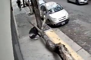 Habló la mujer a la que se le cayó un árbol en la cabeza en Rosario