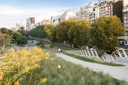 El arbolado que diseñamos en el siglo XX no siempre sirve para el clima del siglo XXI