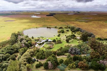 El arboretum Grigadale. La colección de robles está abajo a la izquierda.