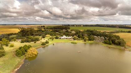 El arboretum Grigadale, que empezó siendo un potrero pelado.