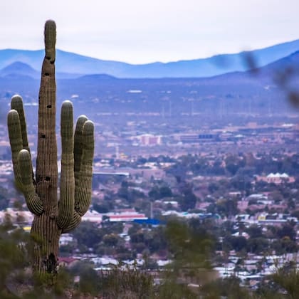 El área de Nuevo México donde se desplegó el Ejército fue por décadas una ruta migratoria muy poco vigilada