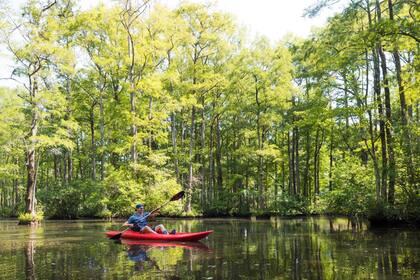 El argentino encontró su nuevo hogar en Raleigh, Carolina del Norte