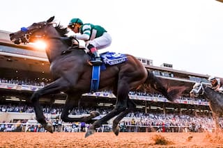 El caballo que se aclimató en tiempo récord y le dio al turf nacional la séptima Breeders’ Cup