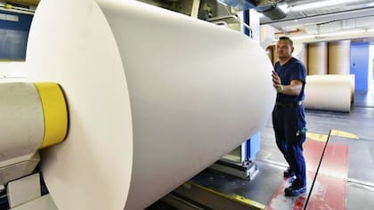 El aroma de los libros se relaciona con la producción de papel y los componentes químicos de la madera utilizada