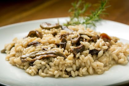 El aroma es profundo, con notas a tierra, caramelo y nuez moscada del shitake lo posicionan como el complemento perfecto para un risotto