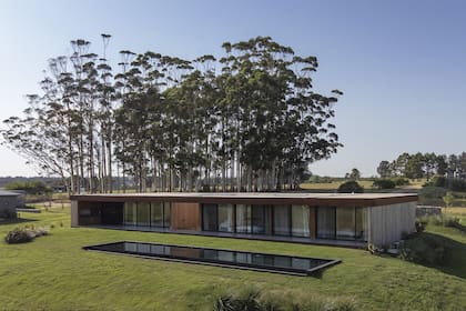 El Arq. Víctor Della Vecchia optó por un sistema modular que agiliza tiempos de obra y tiene bajo impacto ambiental