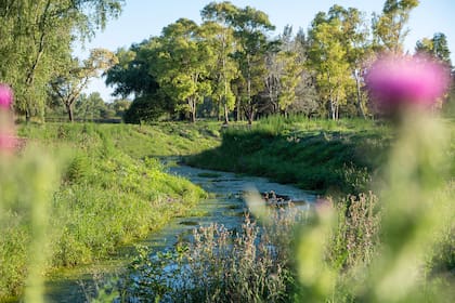 El arroyo que cruza al emprendimiento ubicado en PIlar