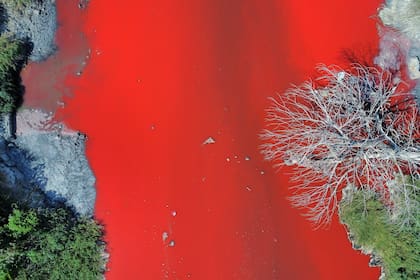 El arroyo Sarandí, en Avellaneda, teñido de rojo, dos semanas atrás