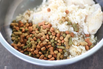 El arroz es muy saludable y suele ser aceptado por los perros