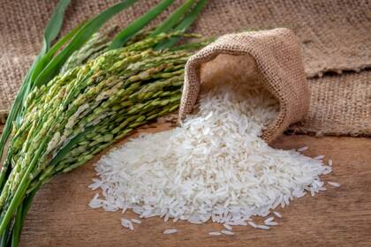 El arroz es una economía regional que sería afectada por las retenciones al 15%
