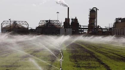 El arroz necesita mucha agua para crecer: se necesitan unos 2.500 litros para producir tan solo 1kg