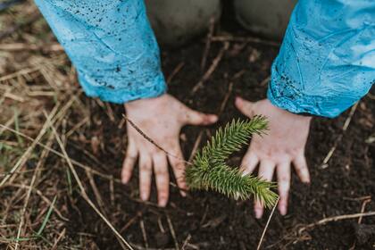 El arte no solo se encuentra en lienzos o palabras, también en el contacto directo con la tierra, un acto de sanación que activa lo más profundo del ser