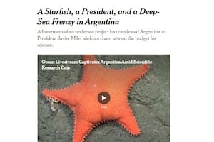 Máximo Kirchner puso una única razón para aceptar ser candidato a diputado nacional en octubre - Image 2
