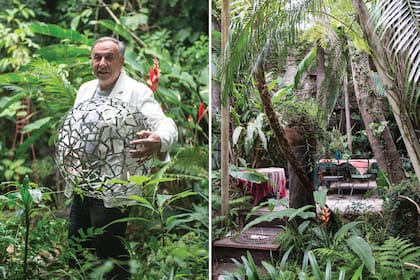 El artista, a la izquierda, y su jardín, a la derecha, donde habitan palmeras, como Dypsis decaryi, seafortias, pindó, Cycas circinalis y C. revoluta, y plantas frondosas como alpinias, helechos arbóreos, strelitzias, filodendrons, monsteras, bromelias, tillandsias, entre otras.